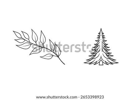 Leafy branch and evergreen tree leaves pine