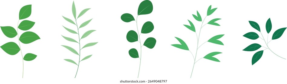 Conjunto de galhos folhosos com várias formas verdes, coleção botânica de vetor plana para decoração eco amigável e design gráfico mínimo