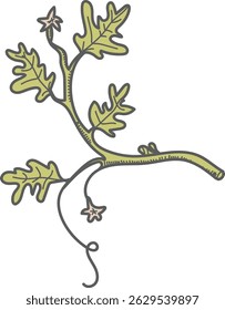 A leafy branch with small flowers in a hand-drawn style. Curved stems and detailed leaves create a natural look. Cartoon vector illustration.