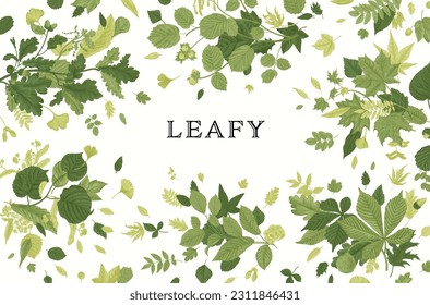 Leafy. Card. Vector vintage illustration. 