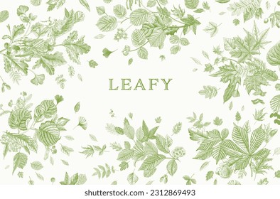 Leafy. Card. Vector vintage illustration. 