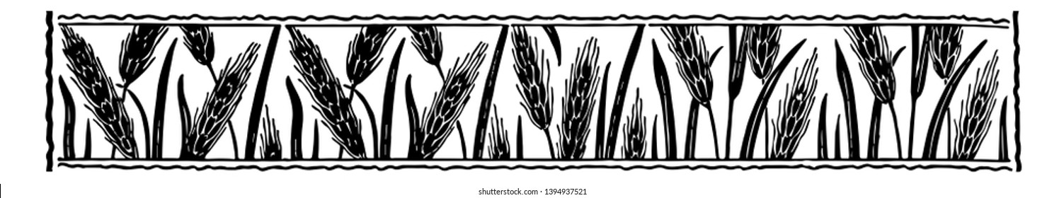 Leafy Divider are decorated with long leaves in this pattern vintage line drawing or engraving illustration.