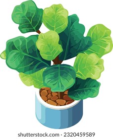 Leafy Elegance: Fiddle Leaf Fig in Pot - Indoor Greenery