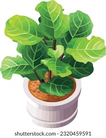 Leafy Elegance: Fiddle Leaf Fig in Pot - Indoor Greenery