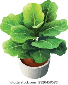 Leafy Elegance: Fiddle Leaf Fig in Pot - Indoor Greenery