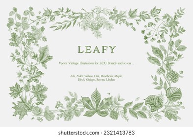 Leafy. Frame. Vector vintage illustration. Engraving