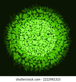 Leafy green circle. Green circle ball