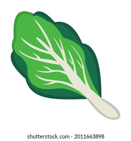 Leafy green emoticon isolated vector illustration. High quality flat style leafy green vector icon on white background