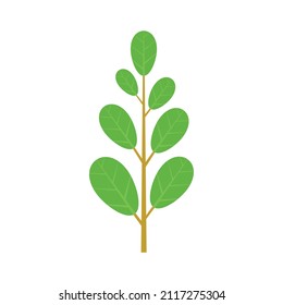 Leafy Green Icon. Flat Illustration Of Leafy Green Vector Icon Isolated On White Background