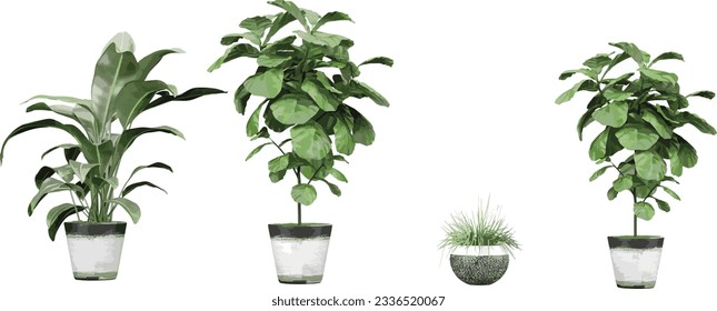 Leafy Green Monstera Collection, Trendy and Tropical