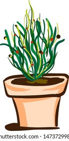 A leafy green plant in a pot, vector, color drawing or illustration.