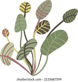 A leafy green plant simple vector illustration