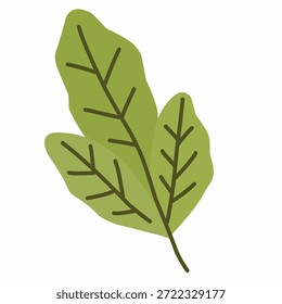 Verduras de hoja verde en estilo de ilustración plana para temas de nutrición y estilo de vida saludable. Ideal para menús veganos, planes de dieta y gráficos de bienestar.