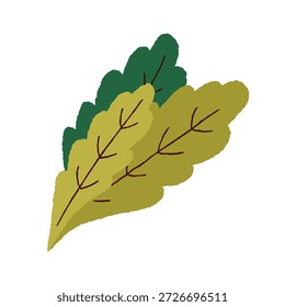 Leafy greens. Fresh leaf vegetable. Leaves, kale and lettuce, natural organic ingredient for salad. Vegetarian diet food, healthy snack. Flat vector illustration isolated on white background