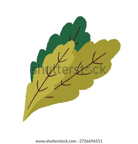 Leafy greens. Fresh leaf vegetable. Leaves, kale and lettuce, natural organic ingredient for salad. Vegetarian diet food, healthy snack. Flat vector illustration isolated on white background