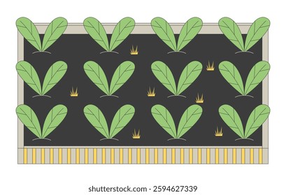 Leafy greens vegetable garden bed 2D cartoon object. Organic farming. Sustainable food production. Backyard gardening leaves veggies isolated element flat vector clip art on white. Spot illustration