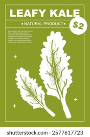 Leafy kale. Set of posters of vegetables in a abstract draw design. Label or poster, price tag. Simple, flat design. Patterns and backgrounds. Perfect for poster, cover, banner.