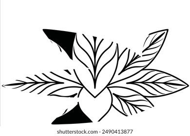 Leafy Luxury Pattern Line Art Studies