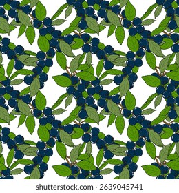 Leafy pattern with blue berries on white background