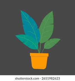 leafy plants in pots for decoration