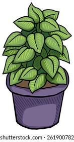 Leafy pot plant, vector illustration