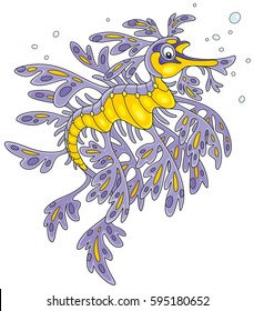 Leafy Sea Dragon