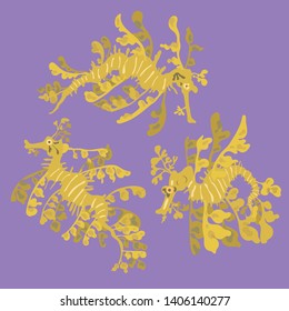 Leafy Sea Dragon Collection. Marine Fish Leafies Illustration The Illusion Of Floating Seaweed