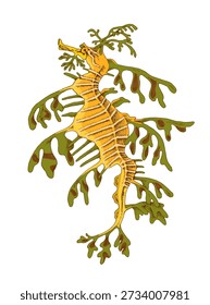 Leafy sea dragon hand drawn vector