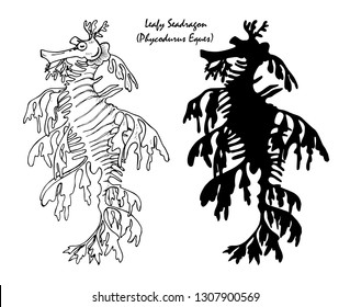 The leafy seadragon, marine fish in the family Syngnathidae,  black and white illustration in graphic style and silhouette