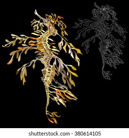 Leafy seadragon  seahorse  vector image