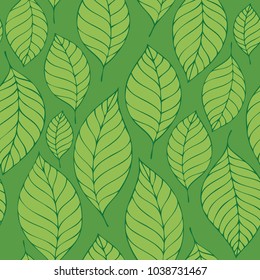 Borde transparente 8 - ilustración vectorial eps10.