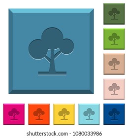 Leafy tree engraved icons on edged square buttons in various trendy colors