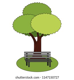 leafy tree foliage nature and bench park