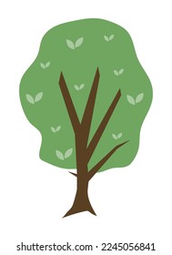 Leafy tree with green leaves in crown. Plants for nature landscapes. Vector illustration isolated design