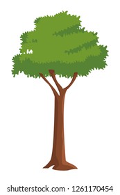 leafy tree icon