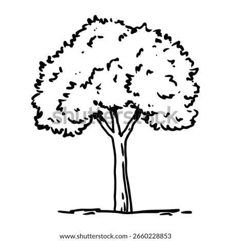 Leafy tree isolated on a white background. Landscape sketch. Vector hand-drawn illustration in outline style. Perfect for cards, decorations, logo, nature-themed designs.