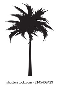 icono de verano de silueta de palmera de árbol frondoso