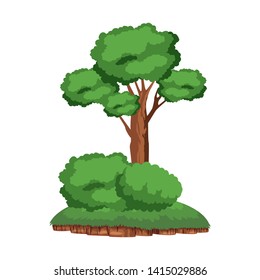 leafy tree and shruberry over a piece of ground icon cartoon isolated