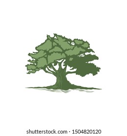 leafy tree with stem and leaf logo template