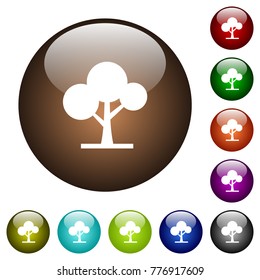 Leafy tree white icons on round color glass buttons