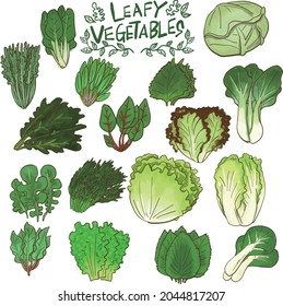 Leafy Vegetable Icon Hand-painted Material