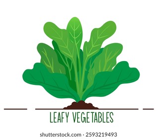 Leafy Vegetables Vector, Cartoon Leafy Plants Illustration