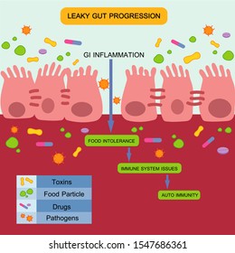 Leaky Gut Syndrome or Intestinal Permeability Diagram