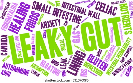 Leaky Gut word cloud on a white background. 
