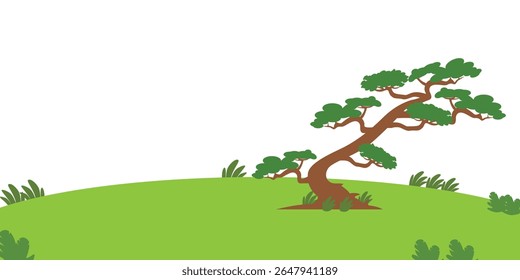 Inclinando o pinheiro do bonsai na paisagem de Green Hill