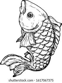 A leaping carp fish. Hand drawn vector illustration. 