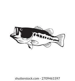 Leaping Fish vector Illustration Monochrome