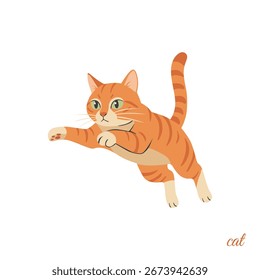 A Leaping Orange Tabby Cat
