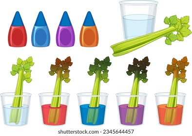 Aprender sobre experimentos científicos usando tallo y color de apio