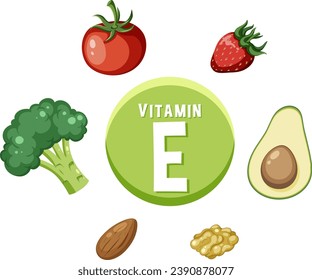 Erfahren Sie mehr über Vitamin E-reiche Lebensmittel in einer lustigen Cartoon-Illustration